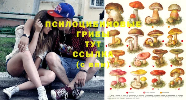 мяу мяу кристалл Баксан