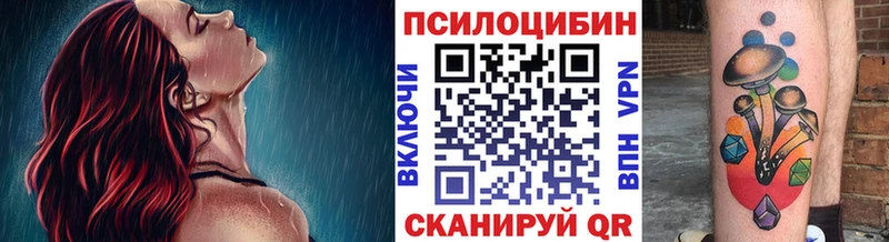 hydra ССЫЛКА  Лесной  Псилоцибиновые грибы Psilocybe 